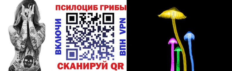 Псилоцибиновые грибы прущие грибы  купить наркотик  блэк спрут онион  Урюпинск 