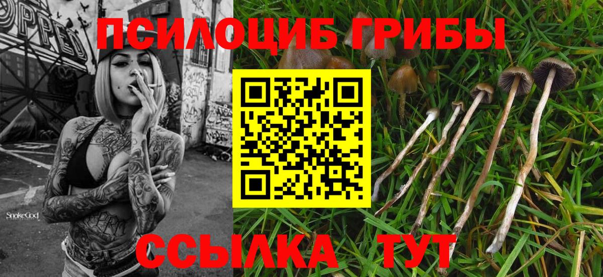 Галлюциногенные грибы GOLDEN TEACHER Урюпинск