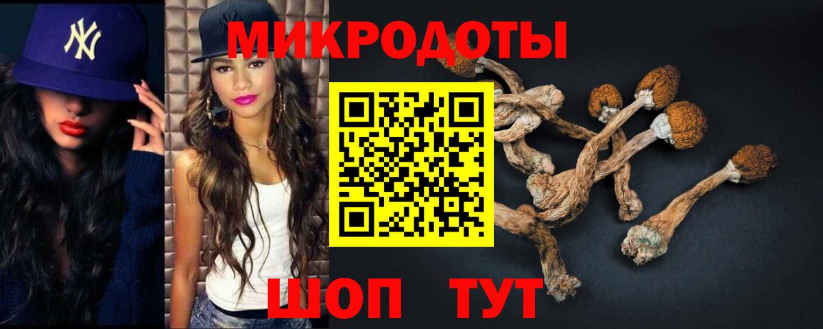 Галлюциногенные грибы Psilocybe  Вход с VPN  Урюпинск  Псилоцибиновые грибы Magic Shrooms 