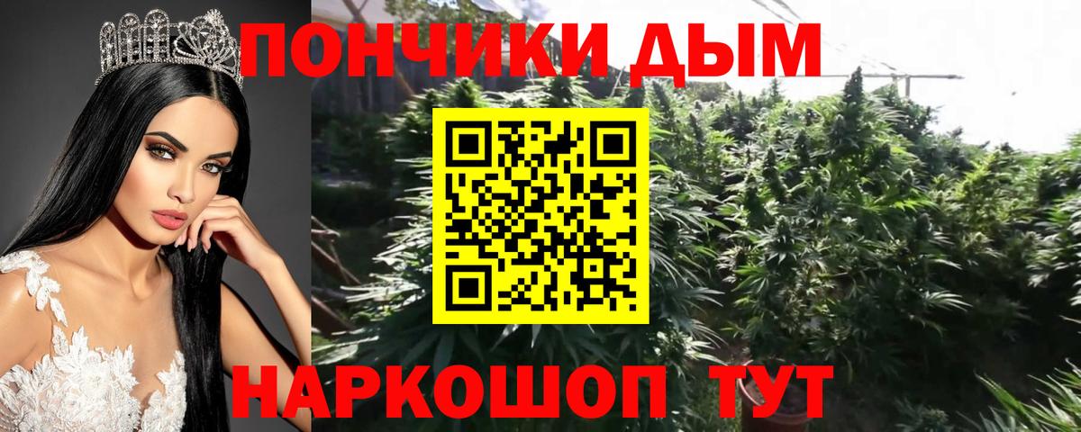 Урюпинск  Шишки марихуана ГИДРОПОН  Бошки марихуана тримм  Вход с VPN  МАРИХУАНА Ganja  МАРИХУАНА Bruce Banner 
